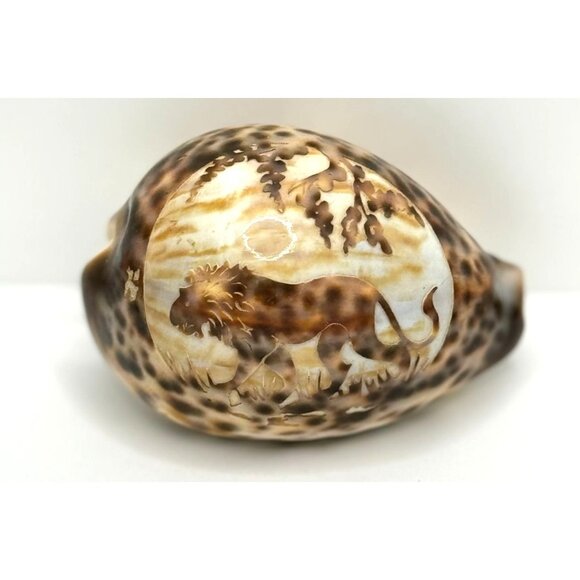 Vintage Souvenir Carved Spotted Cowrie Shell With African Lion Motif - Picture 8 of 8